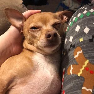 Meet your Posher, Jackie